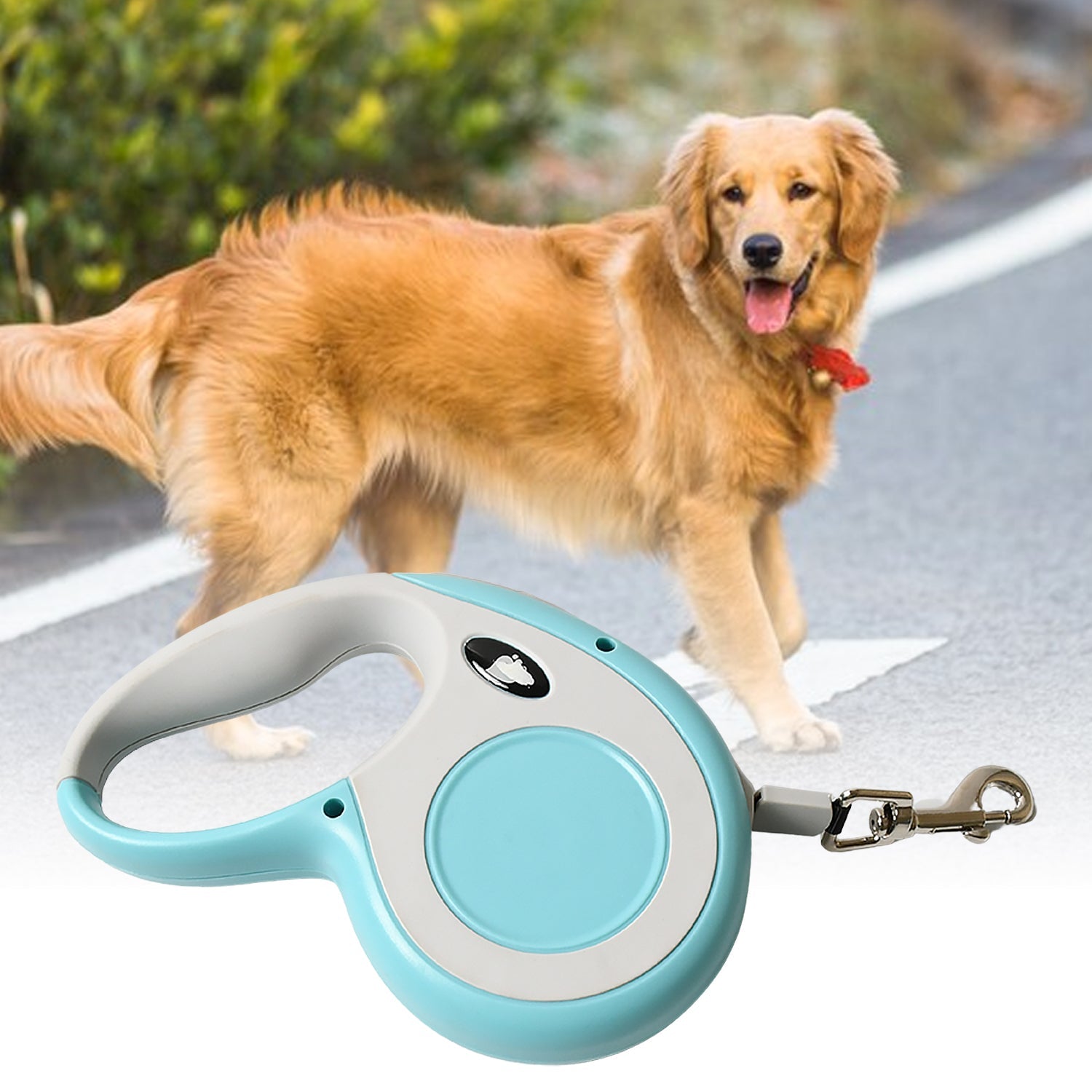 8519 Retractable Dog Leash, Pet Walking Leash with Anti-Slip Handle, Strong Nylon Tape, Tangle-Free, One-Handed One Button Lock & Release, Suitable for Small / Medium Dog Or Cat, 16.5 ft (5 m)