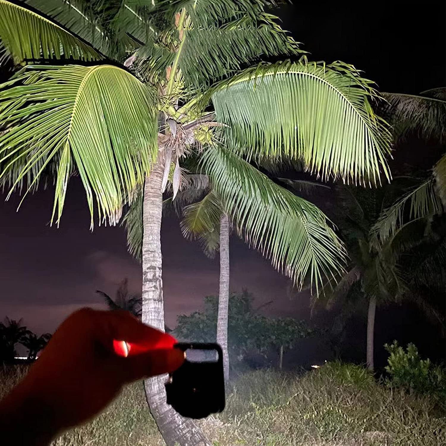 17784 LED Battery Operated Keychain Flashlight Small Work Light with Folding Bracket Bottle Opener for Camping, Hiking, Emergency (1 Pc / MOQ :- 36 Pcs)