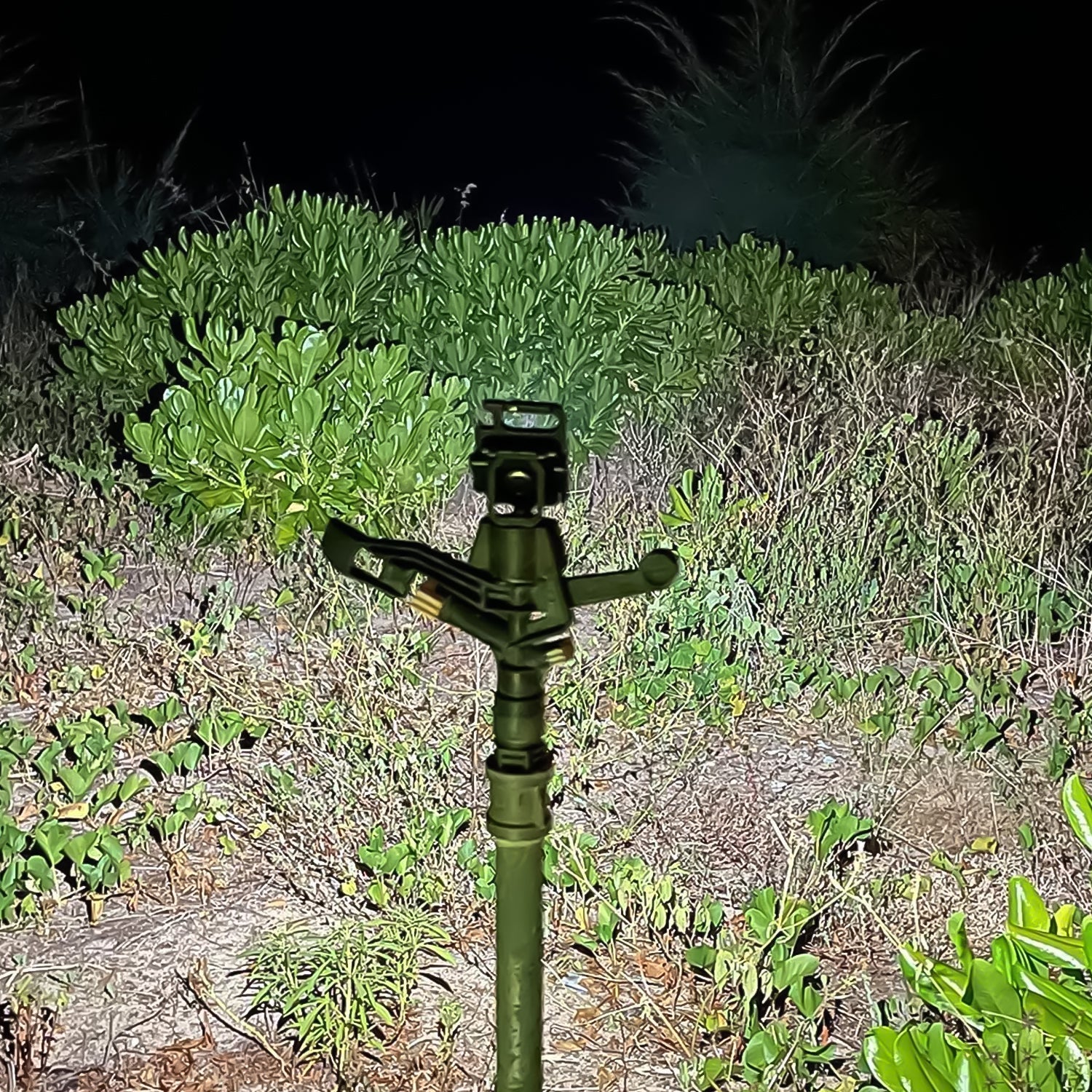 17784 LED Battery Operated Keychain Flashlight Small Work Light with Folding Bracket Bottle Opener for Camping, Hiking, Emergency (1 Pc / MOQ :- 36 Pcs)