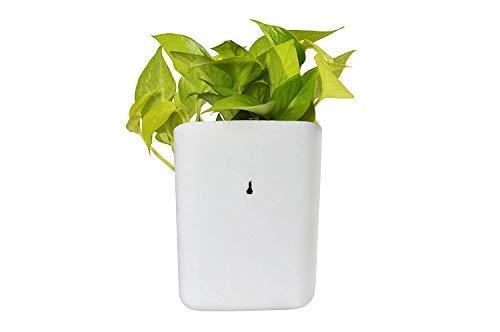 3858 Plastic Vertical Hanging Planter Pot, Multicolour,