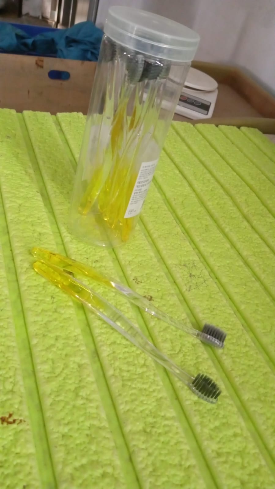 13078 Premium Plastic Toothbrush With Plastic Round Box for Men and Women, Kids, Adults Plastic Toothbrush (10 pcs Set)