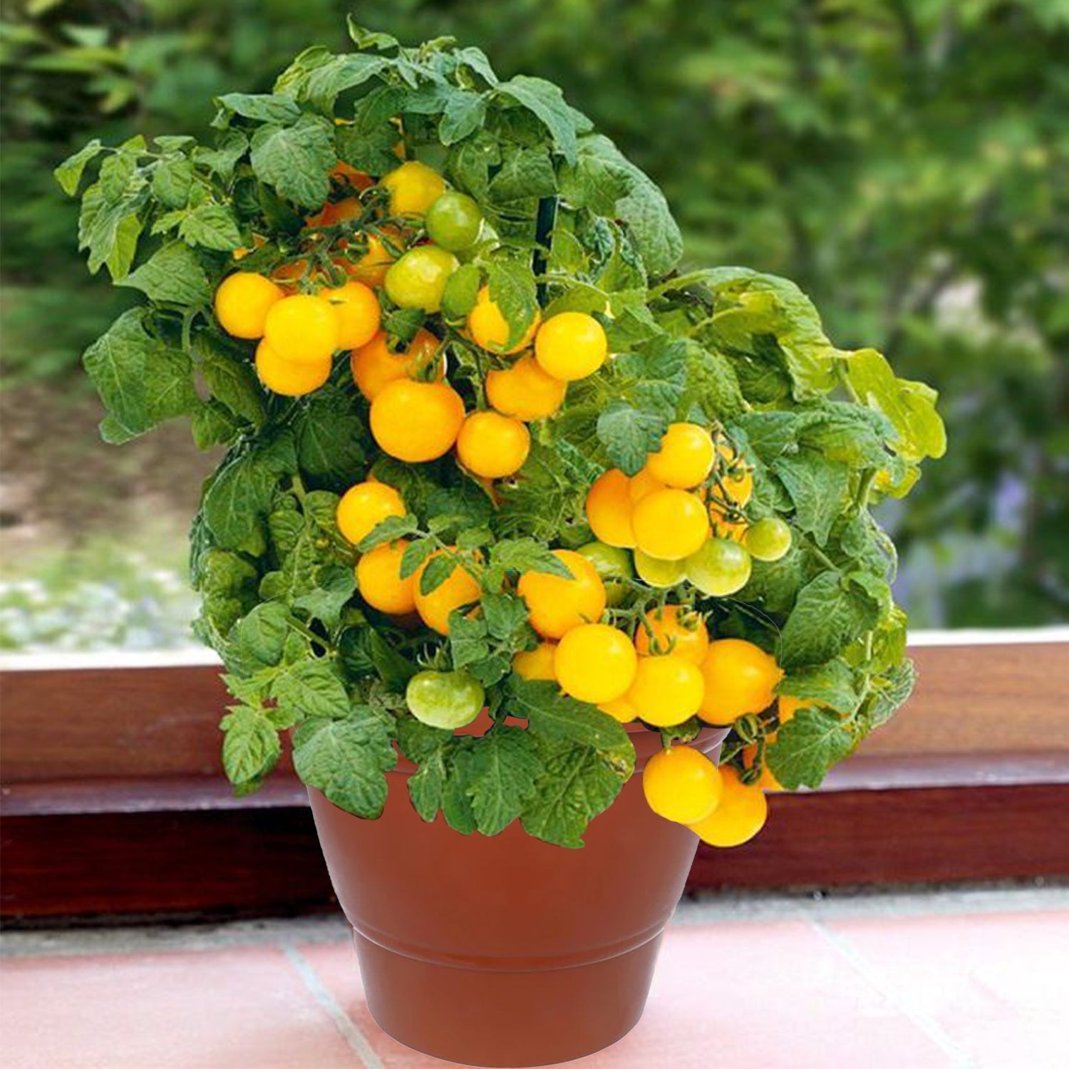 0839 Garden Heavy Plastic Planter Pot/Gamla 6 inch (Brown, Pack of 1, Small)