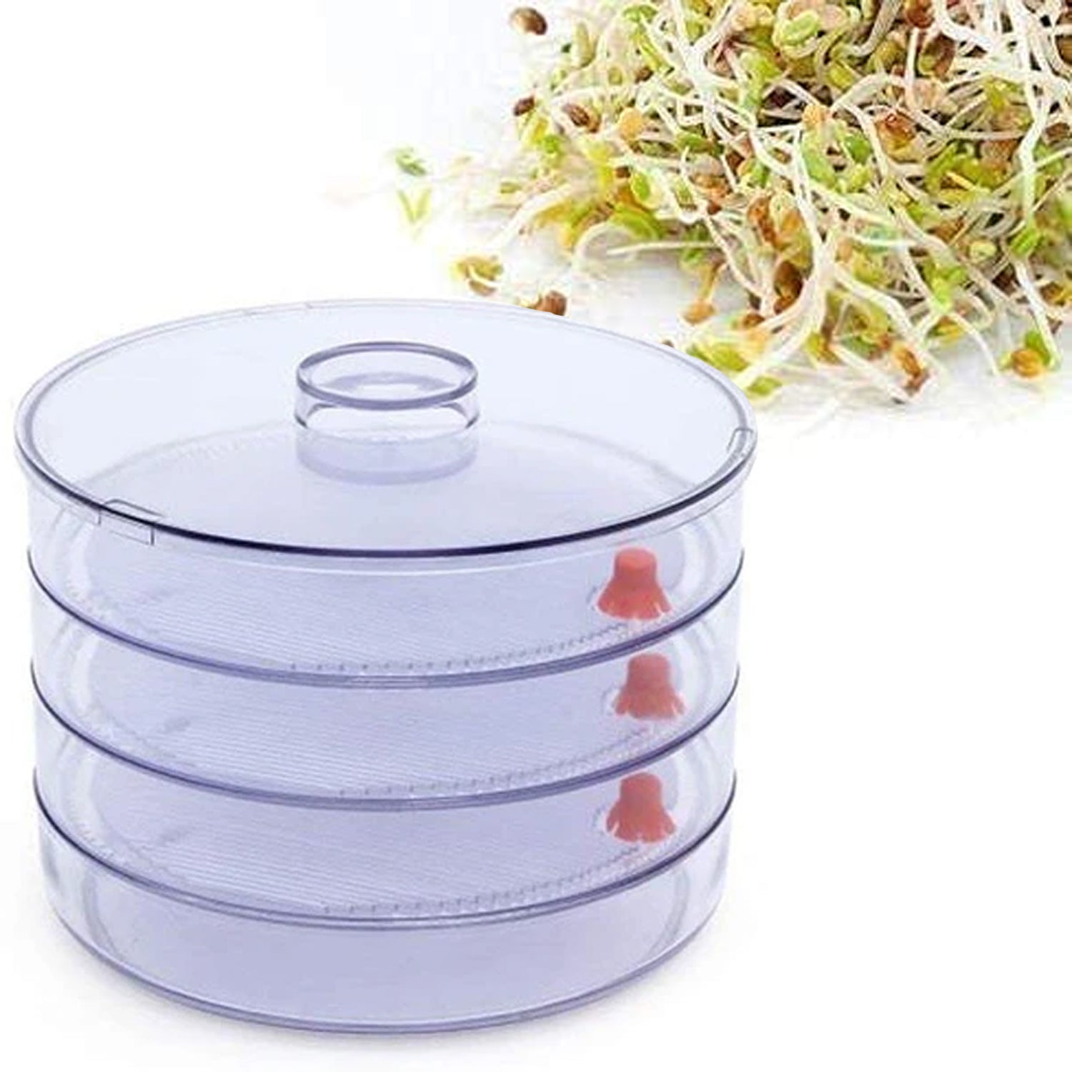 070 Plastic 4 Compartment Sprout Maker, White  Tapaswee Enterprise